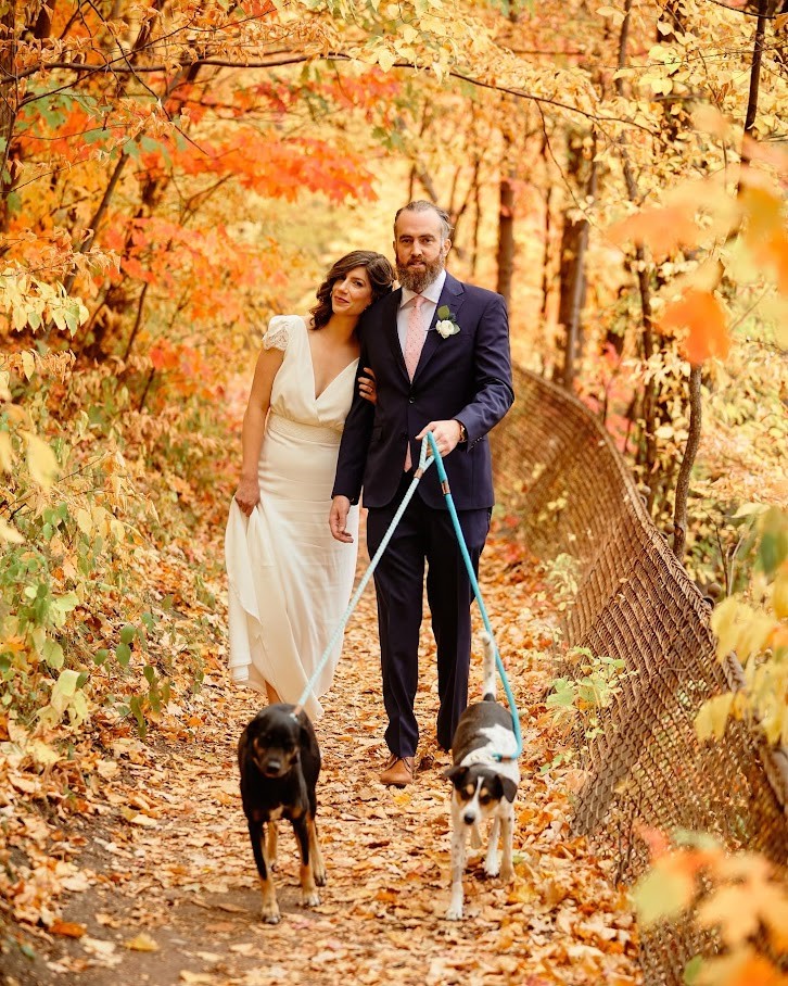 couple just married walking two dogs down a fall trail