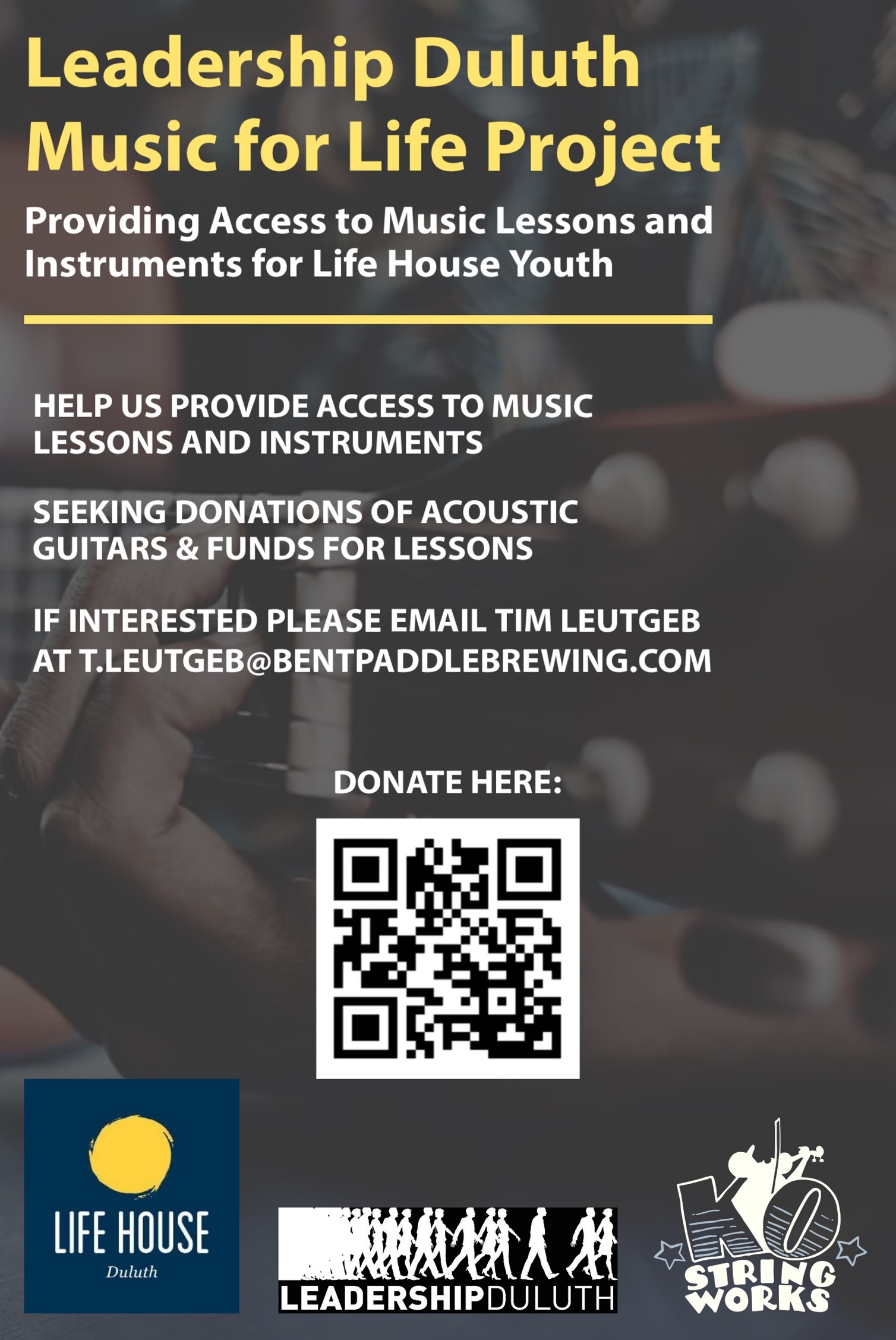 Leadership Duluth Music for Life Project