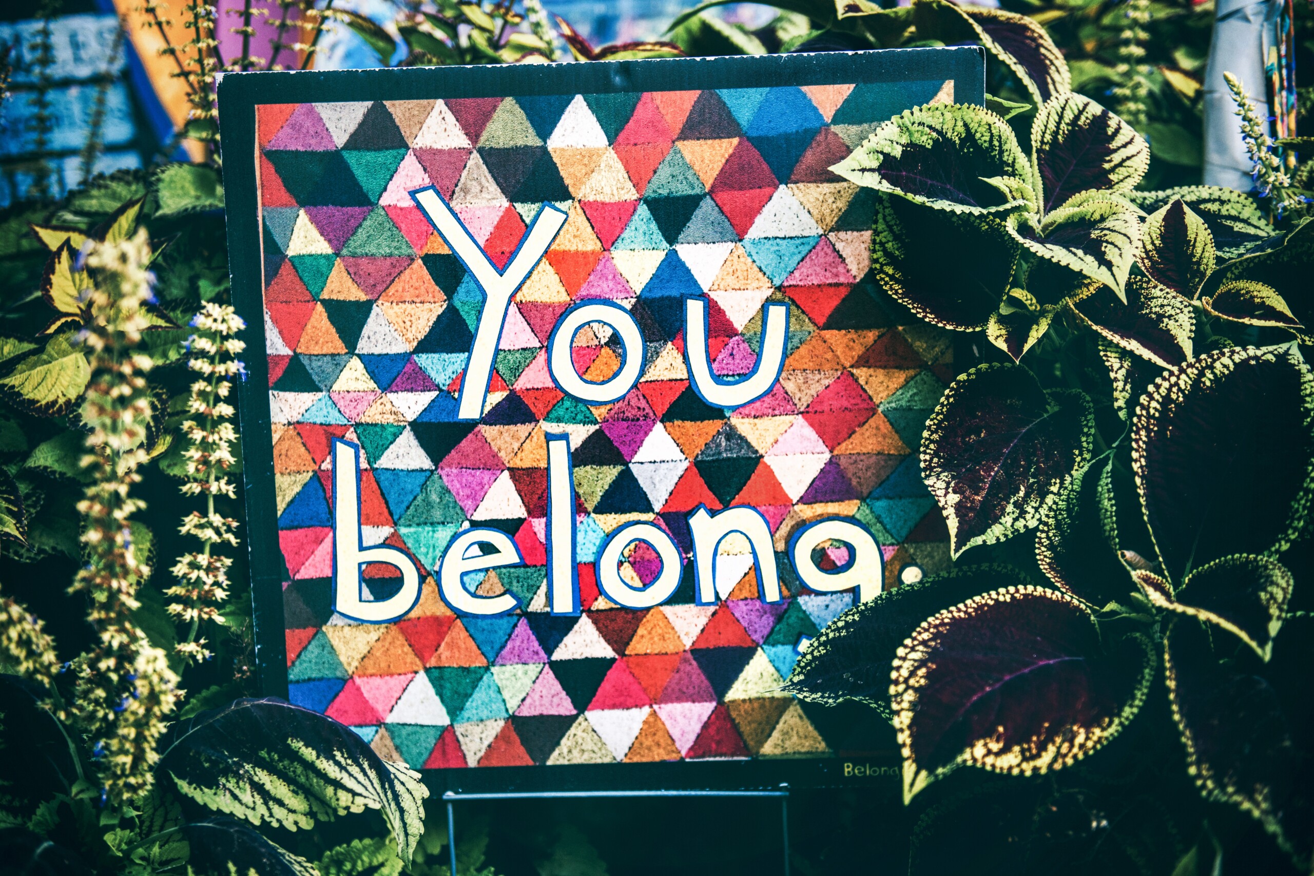 You belong sign surrounded by plants